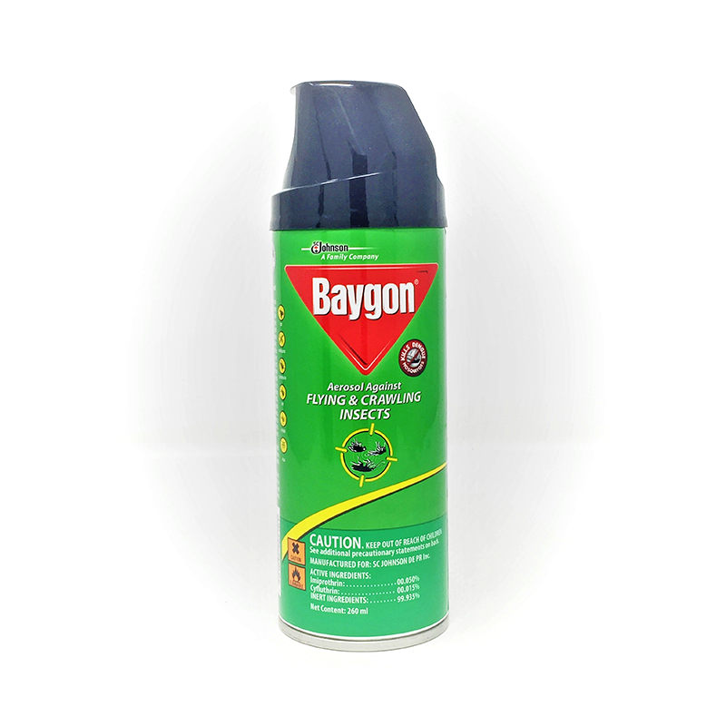 BAYGON INSECT SPRAY 260ML