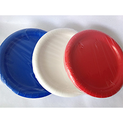 BIG PLATE. RED WHITE & BLUE