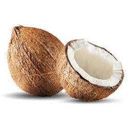 COCONUT (LARGE)