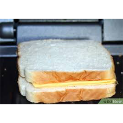 Cheese Sandwich