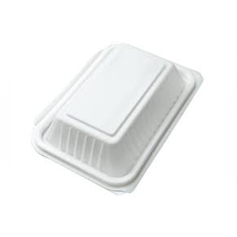 ECOLIV 2 COMPARTMENT 7*7 LUNCH BOX PLASTIC