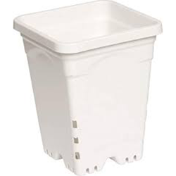 HYDROFARM WHITE PLANTER 9*9 (EGC-HG9 * 9SW)
