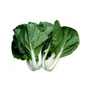 PAK CHOI LB