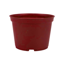 Load image into Gallery viewer, POT-GREEN/RED KD 441N
