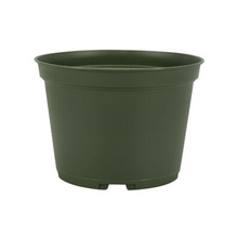 Load image into Gallery viewer, POT-GREEN/RED KD 441N
