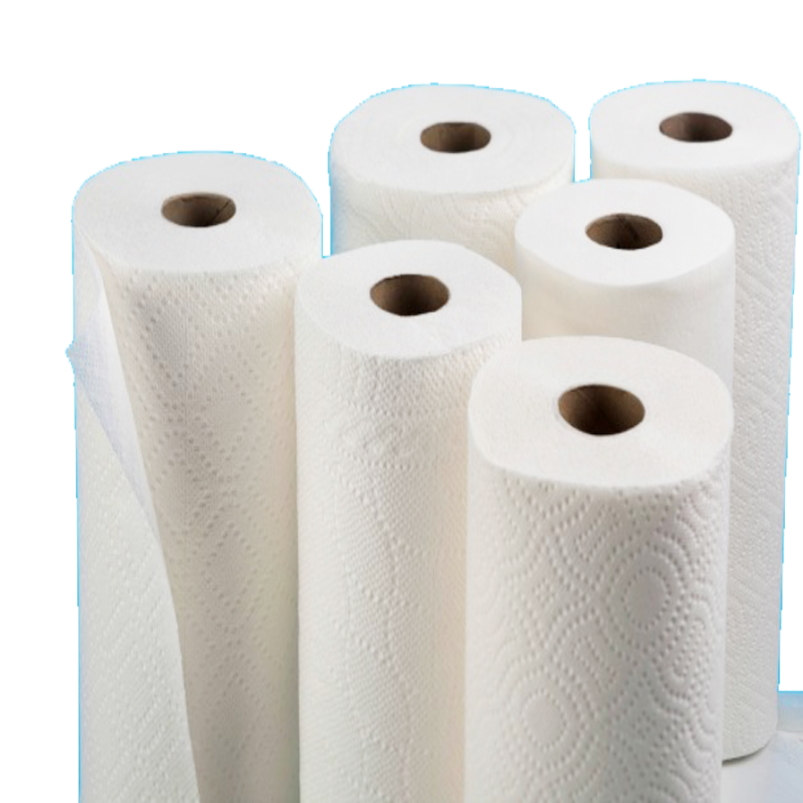 SOPHIE HAND TOWEL 100  2PLY SHEET