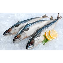 SALT MACKEREL PER LB