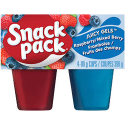 SNACK PACK RASPBERRY/MIXED BERRY 396G 4 PACK