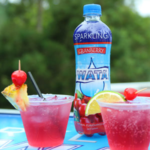 SPARKLING CRANBERRY WATA 500ML