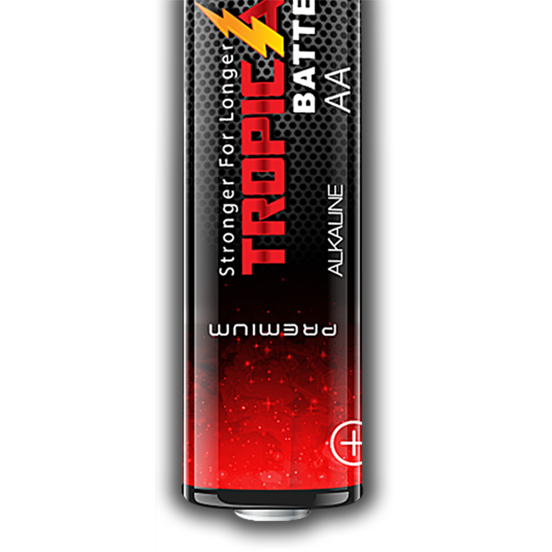 TROPICAL ALKALINE BATTERY AA4