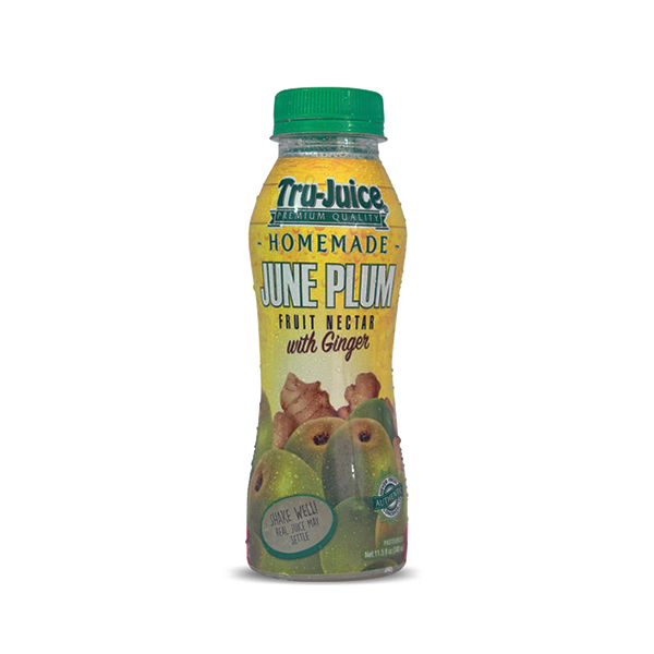TRU-JUICE HOMEMADE JUNE PLUM W\ GINGER 473ML