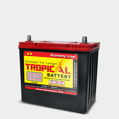 12V ECONO BATTERY NS60ZR-L