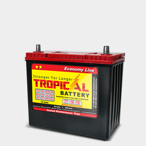 ECONO BATTERY NS40R-L 450AMP  12V