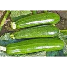 VEGE ZUCCHINI PER LB