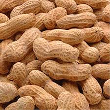 PEANUT IN SHELL LB