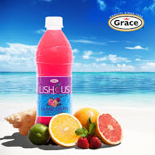 LISHOUS ISLAND CRUSH FRUIT DRINK 600ML