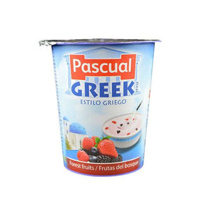 PASCUAL GREEK FOREST FRUIT 125G